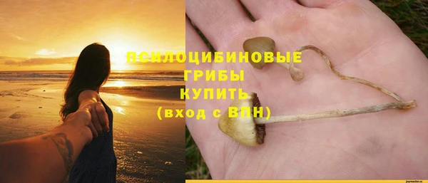 амфетамин Алексеевка