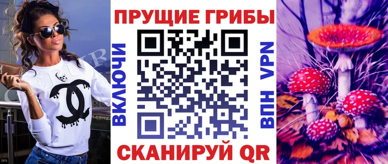 Галлюциногенные грибы Magic Shrooms  Новоузенск 