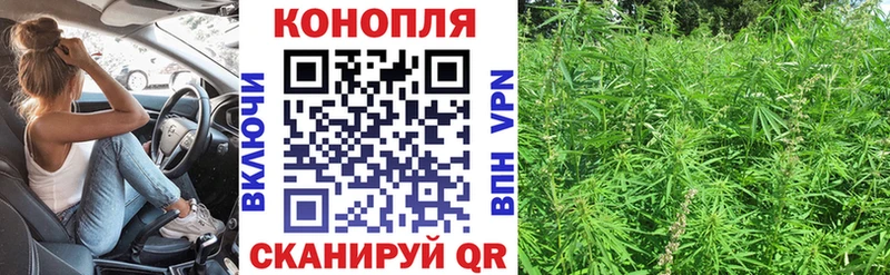Шишки марихуана LSD WEED  где найти наркотики  гидра ССЫЛКА  Новоузенск 
